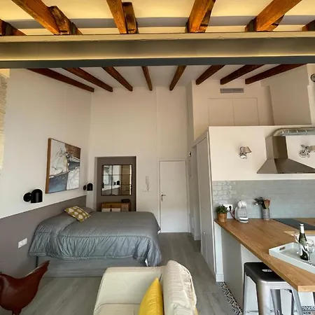 Beautiful Loft With Big Terrace In Old Town *